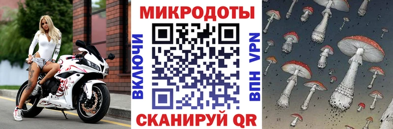 Галлюциногенные грибы MAGIC MUSHROOMS  где продают наркотики  блэк спрут как войти  Биробиджан 